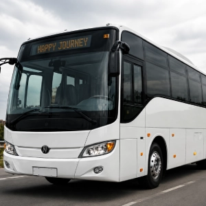 BUSES