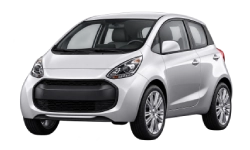 Electric Vehicles (EVs)