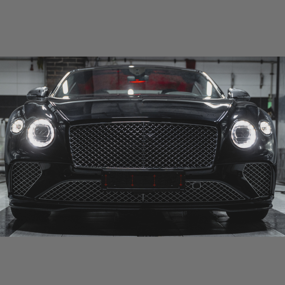 Car Front Bumper |conveyorized automotive painting |conveyorized 3 coat painting | 3 coat painting line |automotive spray painting | automotive components painting |automotive OEM painting